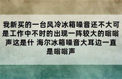 我新买的一台风冷冰箱噪音还不大可是工作中不时的出现一阵较大的嗡嗡声这是什 海尔冰箱噪音大耳边一直是嗡嗡声